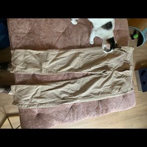 American Eagle Khakis
